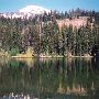 Bird Lake