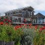 San Juan Island Victoria Dr
