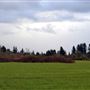 Old Owen Barn