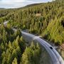 Flowery Trail Road