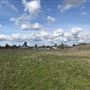 S. Mullinix Rd. Farm 21