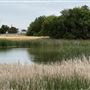 Yakama Wetlands