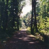 Coal Creek Park - GEO