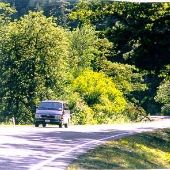 Highway 12 - Rimrock