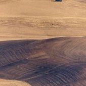 Palouse Wheat Farm