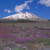 Mount Saint Helens - GEO