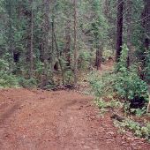 Little Tommy Creek Road