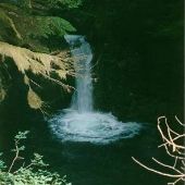 Ohanapecosh Falls