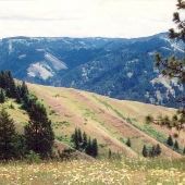 Umatilla Forest - GEO