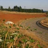 Bishoprick Horse Track