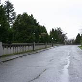 8th Ave W & W Galer St