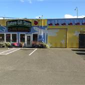 Bremerton Bug Museum