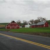 Walla Walla - Various Barns