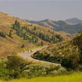Road - Patterson Lake Road