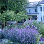 Sea Cliff Victorian Mansion