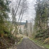 Bogi Farms Property
