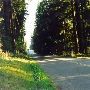 115th Ave NE