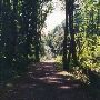 Coal Creek Park - GEO