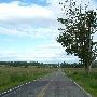 Douglas Road