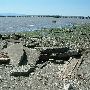 Squalicum Beach