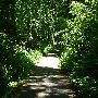 Sehome Arboretum