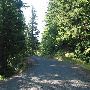 Smith Cripe Road