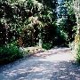 Stossel Creek Road