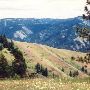 Umatilla Forest - GEO
