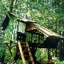 Tree Houses