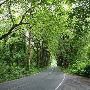 Reinig Road