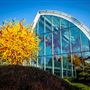 Chihuly Garden and Glass