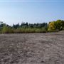SHORELINE - PNW CONIFER ARBORETUM & RONALD BOG PARK
