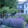 Sea Cliff Victorian Mansion