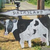 Dairyland