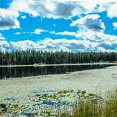 Little Twin Lakes Campground