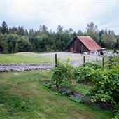 The Barn At Wilson Farm