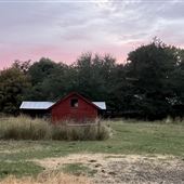 Frog Hollow/Mud Creek