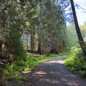 Lawson Private Forest