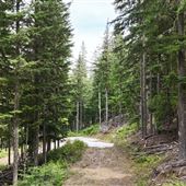 49 Degrees North Nordic Center