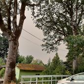 Property on Dead End Available for Tear Down