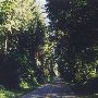 Money Creek Road