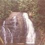 Langfield Falls