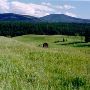 Okanogan Area - GEO