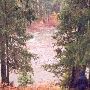 Cle Elum River