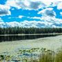 Little Twin Lakes Campground