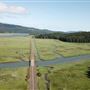 Parpala Road (Pacific County)