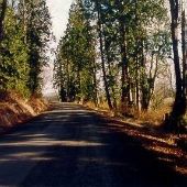 Cougar Mountain Road