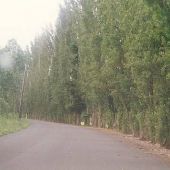 West Snoqualmie River Road NE