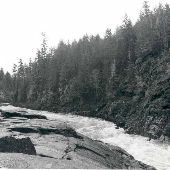 Toutle River