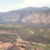 Manson Apple Orchard